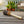 Porch Broom Short Handle