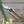 Wood Handled Secateurs